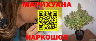 каннабис Пугачёв