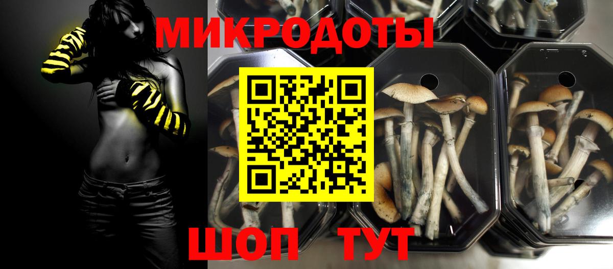 Саранск  Галлюциногенные грибы Cubensis  Вход с VPN  закладки  Галлюциногенные грибы мицелий 